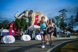 BIB: 
                            <button type="button" onclick="openModal(26541647)" class="btn btn-primary btn-sm float-right btn-popup" data-toggle="modal" data-target=".modal-high-quality">
                        <i class="fas fa-shopping-cart"></i> Add to Cart
                    </button>
                                            <button type="button" onclick="isThisMe(26541647, true)" class="btn btn-success btn-sm float-right btn-popup btn-isme hidden" data-toggle="tooltip" data-placement="bottom" title="นี่คือรูปของคุณใช่ไหม คลิกที่นี่เพื่อเอาเข้าอัลบั้ม">
                        <i class="fas fa-plus"></i> Add to album
                    </button>
                    <button type="button" onclick="isThisMe(26541647, false)" class="btn btn-warning btn-sm float-right btn-popup btn-isnotme hidden">
                        <i class="fas fa-ban"></i> Remove from album
                    </button>